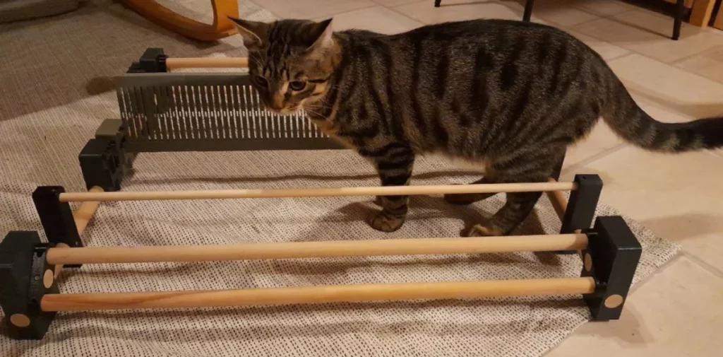 Murai se balade dans le métier, tout perplexifié
