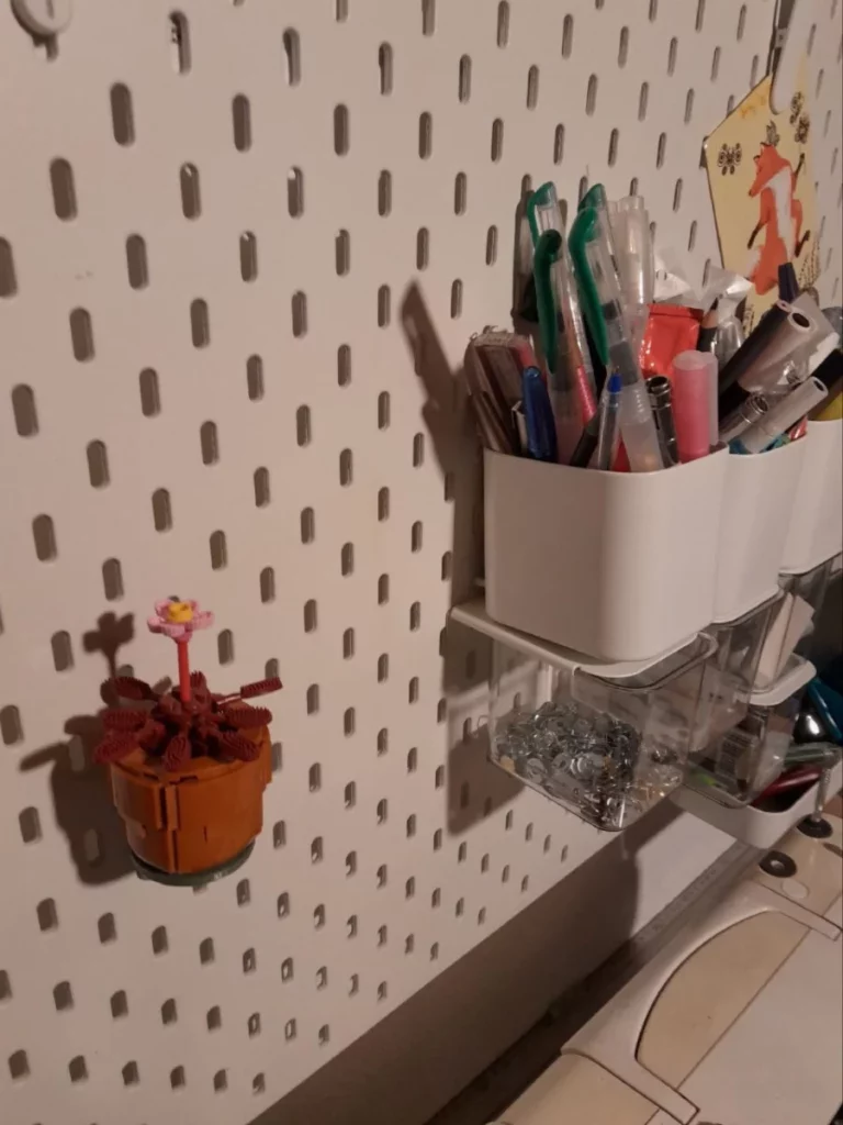 la même petite plante vue du même côté mais en plongée cette fois-ci.