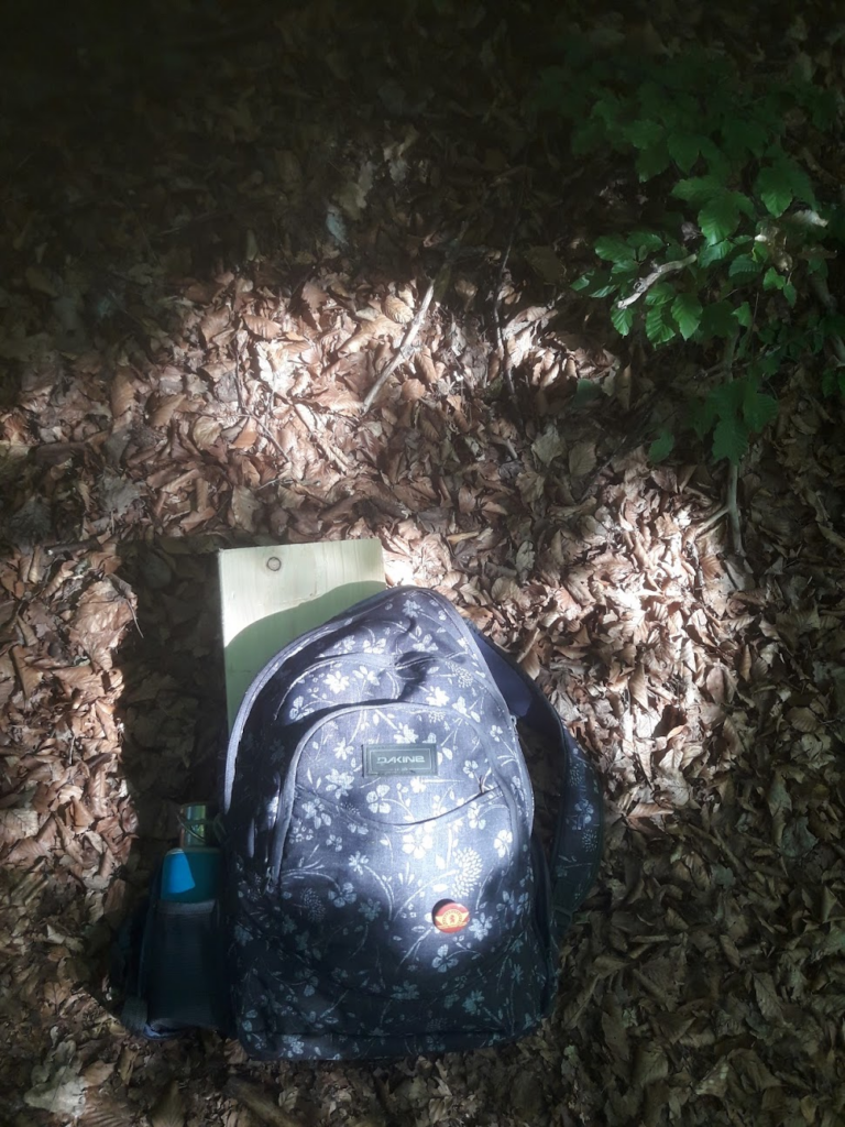 mon sac à dos, posé sur un sol de forêt tapissé de feuilles mortes, duquel on voit dépasser les deux sections de poutre. 