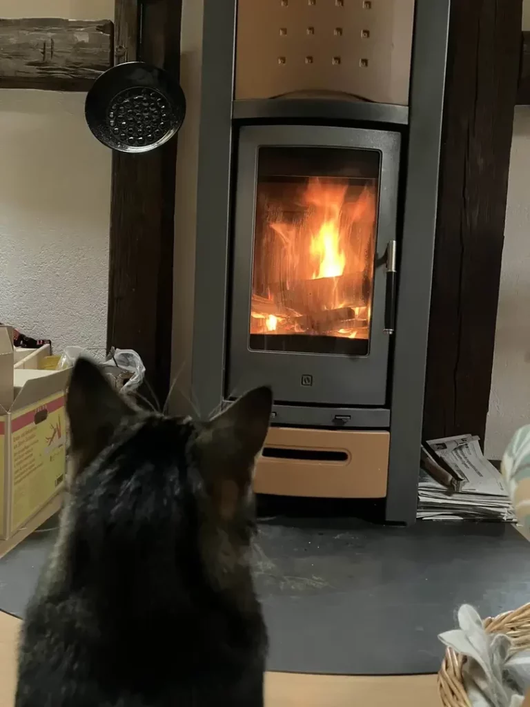 on voit un feu très vigoureux derrière la vitre d'un poele à bois pas bien récent, encadré de deux poutres. Une poele à marrons est suspendue à un clou sur la poutre de gauche. On aperçoit un bout de carton de bûches. La vue est un peu bouchée par un gros chat brun tigré qui regarde le feu avec fascination.
