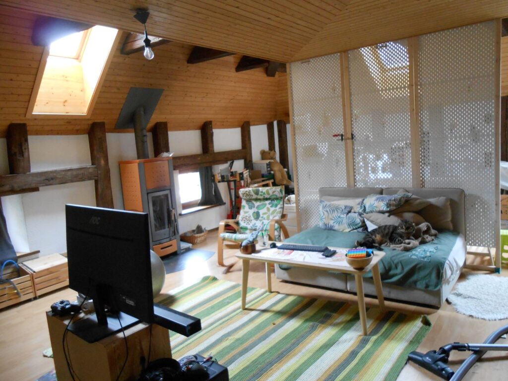 vue de l'espace-salon, avec un très beau tapis crocheté main, un poêle à bois, un fauteuil à bascule feuillu, et un chat très grumpy dans le canapé