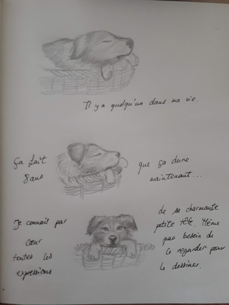 trois dessins du chien dans son panier. Dans le premier il dort. Un texte dit "il y a quelqu'un dans ma vie". Second dessin, le chien dort toujours mais dresse l'oreille. Le texte dit "ça fait 8 ans que ça dure maintenant..."
Troisième dessin, le chien a les pattes sur le rebord du panier et regarde droit dans ma direction. Le texte dit "Je connais par coeur toutes les expressions de sa charmante petite tête, même pas besoin de le regarder pour le dessiner".