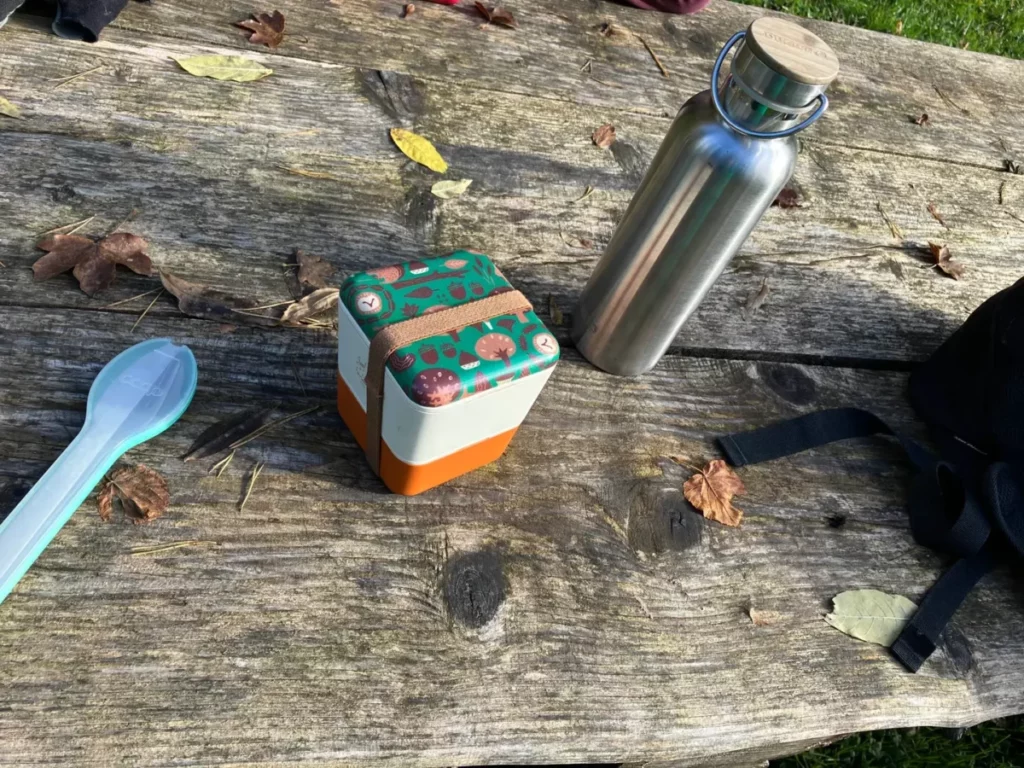 mon bento, un set de services de voyage et la thermos de thé sur une table en bois recouverte de feuilles. Le bento est en deux parties, un petit parallélépipède à base carrée, ton ocre-orange, et un plus grand parallélépipède à base carrée dont le fond s'imbrique dans le sommet du petit. Le tout est fermé par un couvercle vert avec de petits dessins noirs sur le thème de l'automne : arbres dorés, glands, noix, petits bâtons, et une tête de chouette. Dedans, il y a, dans la partie du haut : du riz avec du furikake, une tonne d'Edamame, et un filet de truite fumée. En bas, c'est une petite chiée de dattes, deux bonnes poignées de mélange de noix et une demi-banane avec trois gouttes de jus de citron et trois gouttes de miel.