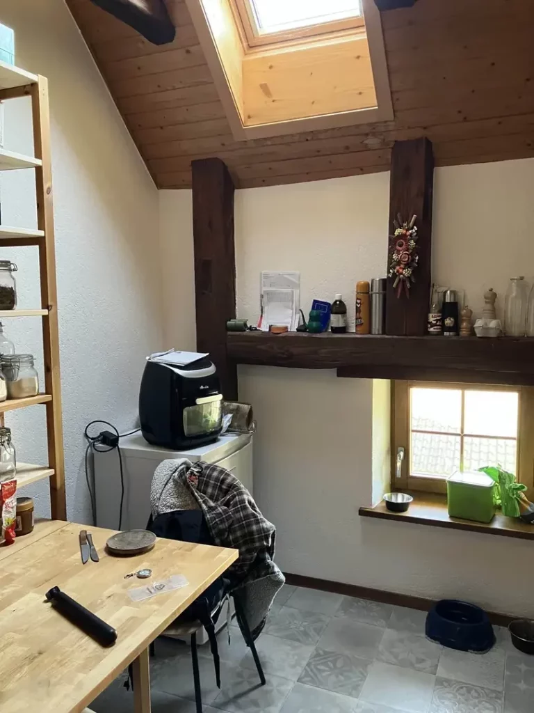 une vue de ma cuisine en sous-pente et en bordel, avec une table en bois encastrée dans une étagère de cave, en bois aussi, devant un congélateur avec un rice cooker d'sus, une petite fenêtre carrée super basse ouvre le mur en-dessous d'un set de poutres en T inversé. Sur la poutre du milieu, il y a plein de bordel dont des thermos, des bocaux et un  peu de paperasse. Sur la poutre centrale trône une composition florale automnale en lego, que m'a offert Petitpas. Un velux innonde la pièce de lumière.