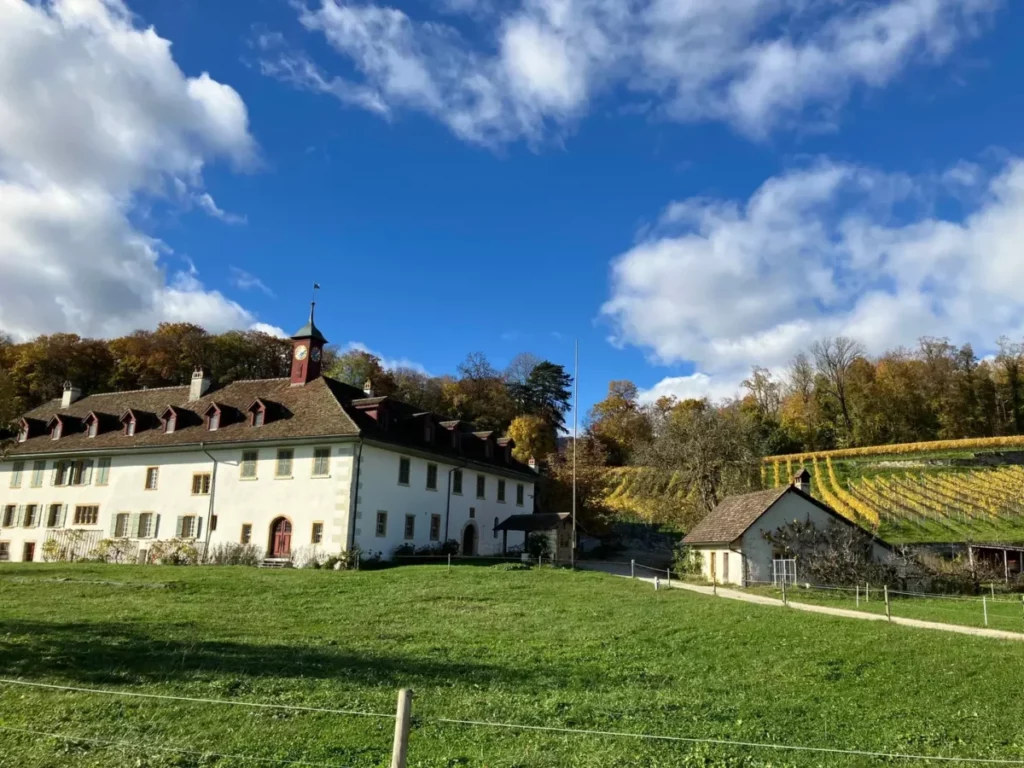l'hôtel de l'île Saint-Pierre, qui a juste des allures de corps de ferme au milieu de la campagne, dans un vallon, entre une vigne et un élevage de Black Angus. Il fait très beau.