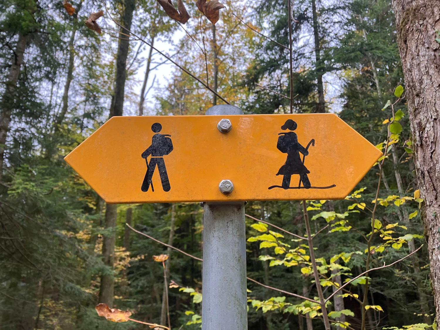un panneau bidirectionnel de randonnée. D'un côté il y a le mec habituel tout raide avec son sac à dos et son bâton tout droit, de l'autre une femme en jupe marche sur un chemin